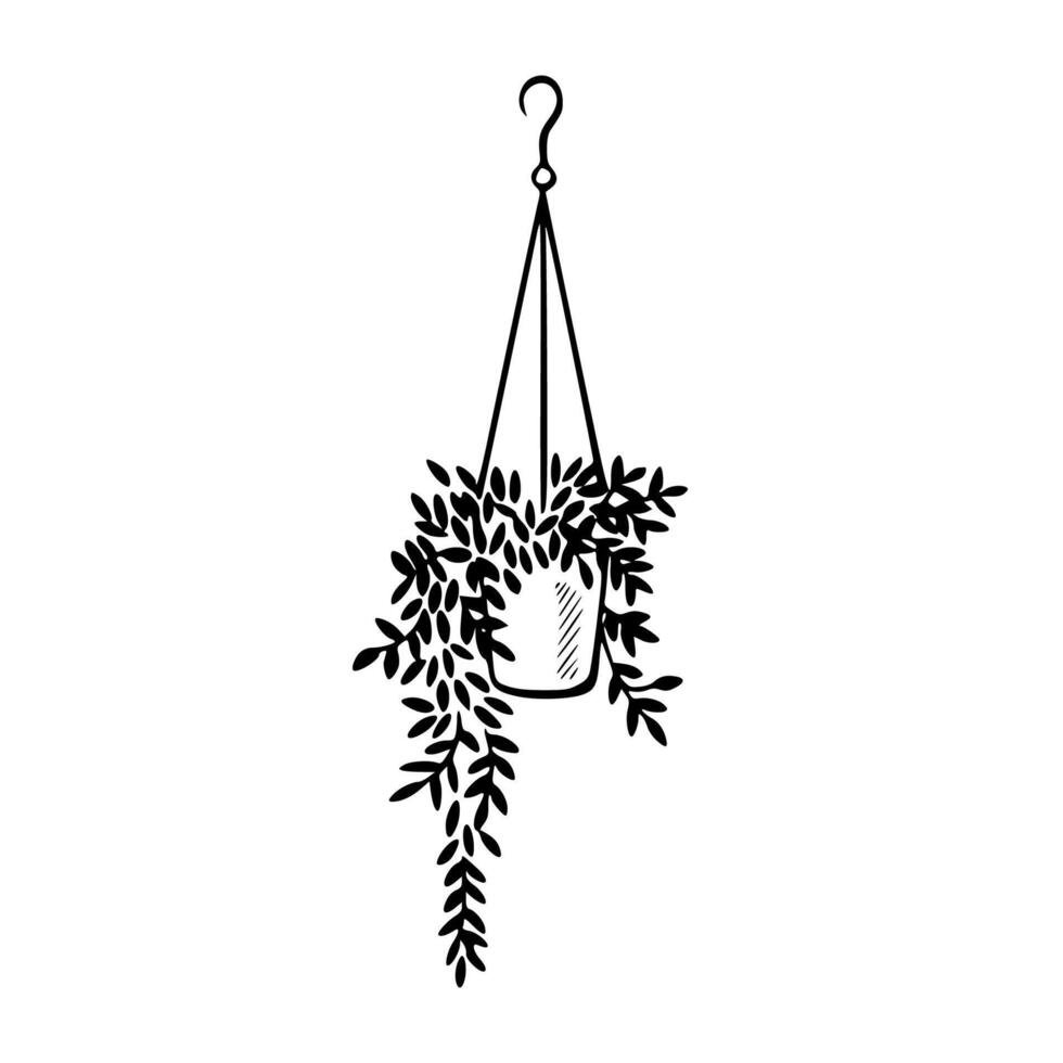 A hanging plant with leaves on it vector