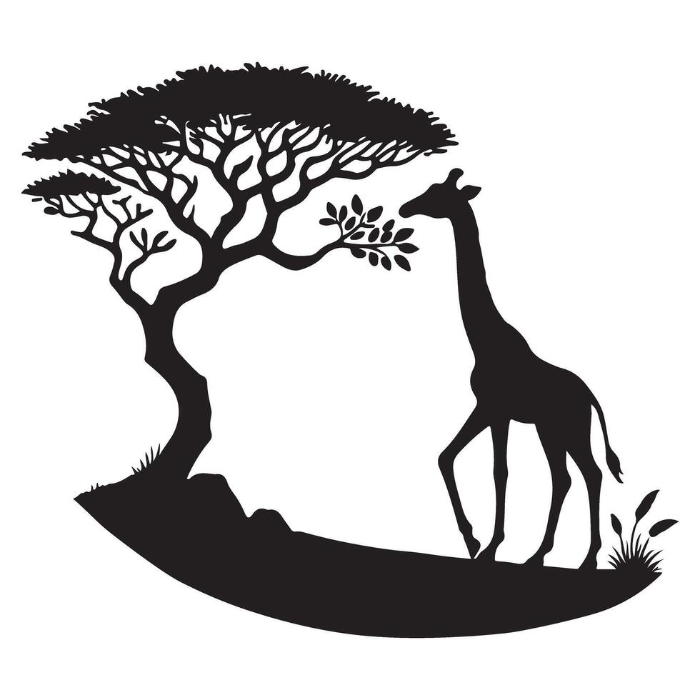 Elegant Silhouette of a Giraffe Grazing Under an Acacia Tree vector