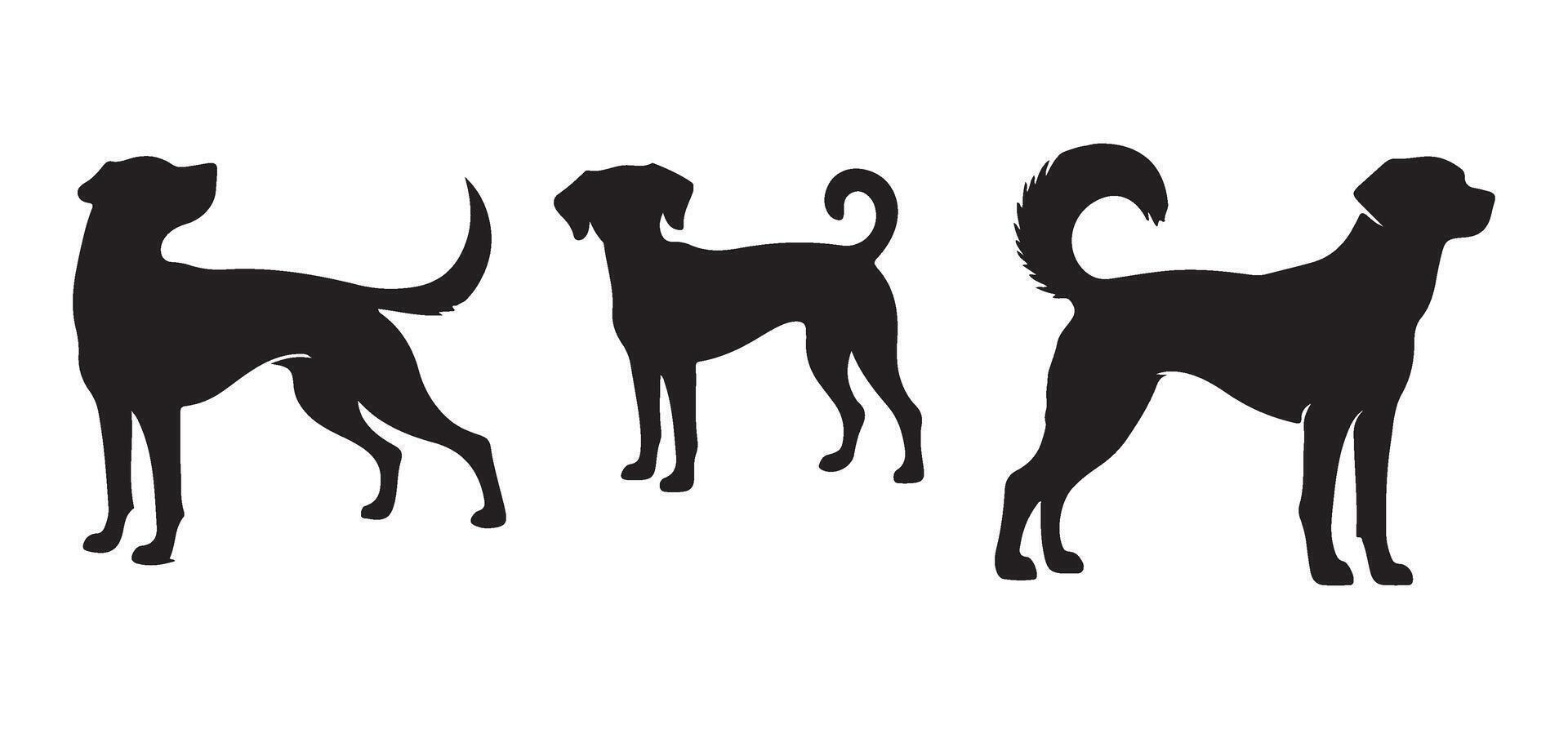 Various Dog Silhouette Breeds Illustration Set vector