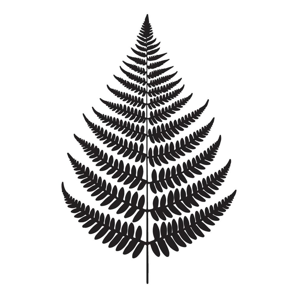 Fern Leaf Silhouette Illustration Design vector