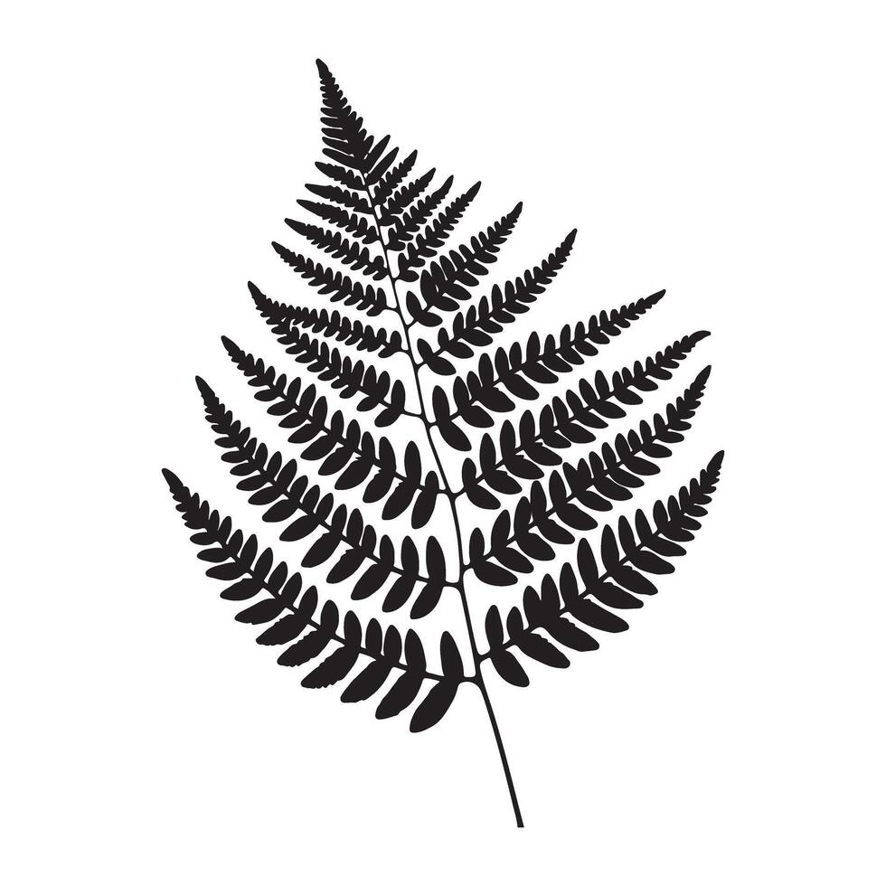 Silhouette of Single Fern Leaf vector