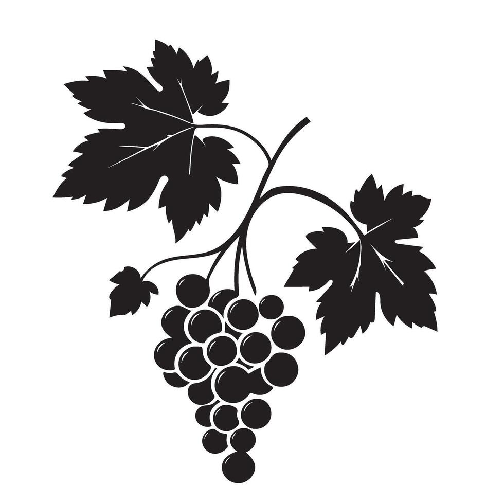 Silhouette Illustration of a Bunch of Grapes vector