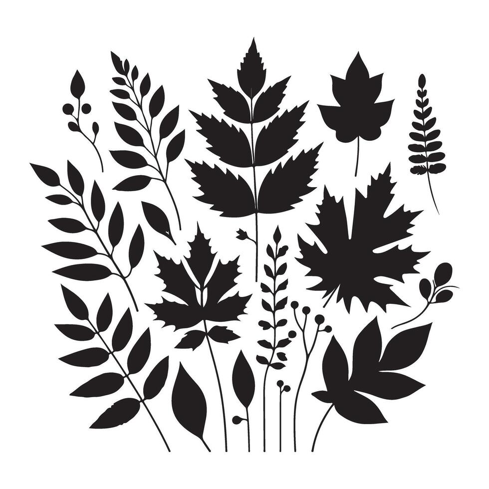 Assorted Leaves Silhouette Illustration for Autumn Theme vector