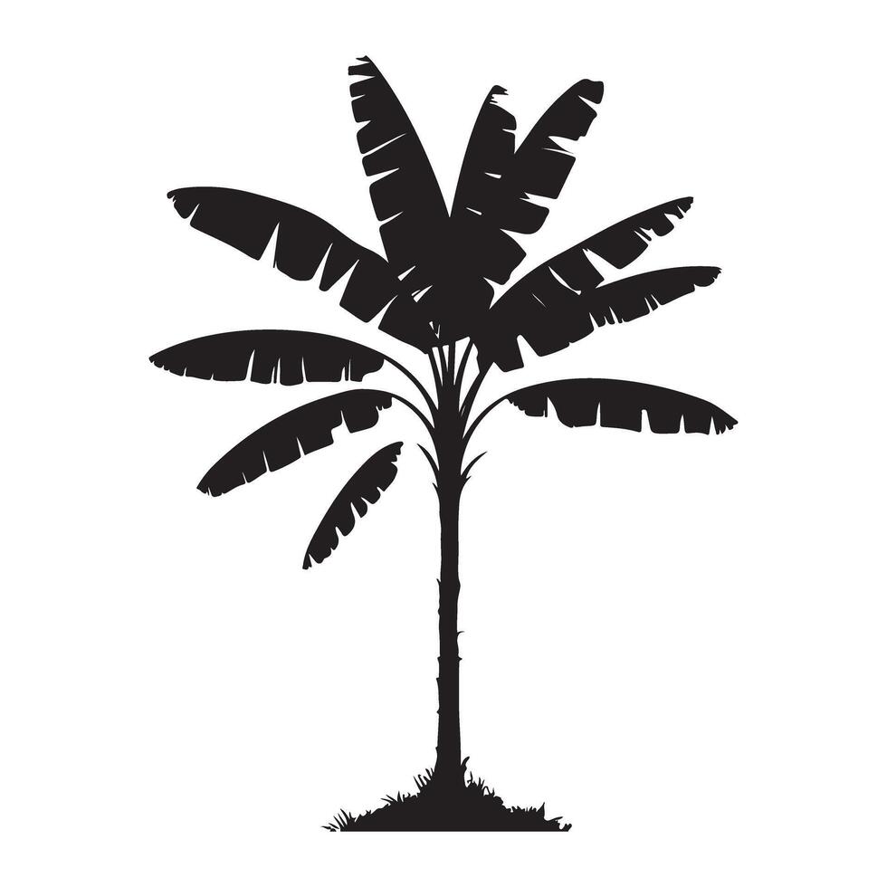Single Banana Tree Silhouette Botanical Illustration vector