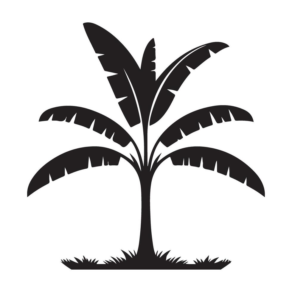Banana Tree Silhouette Illustration Tropical Plant vector