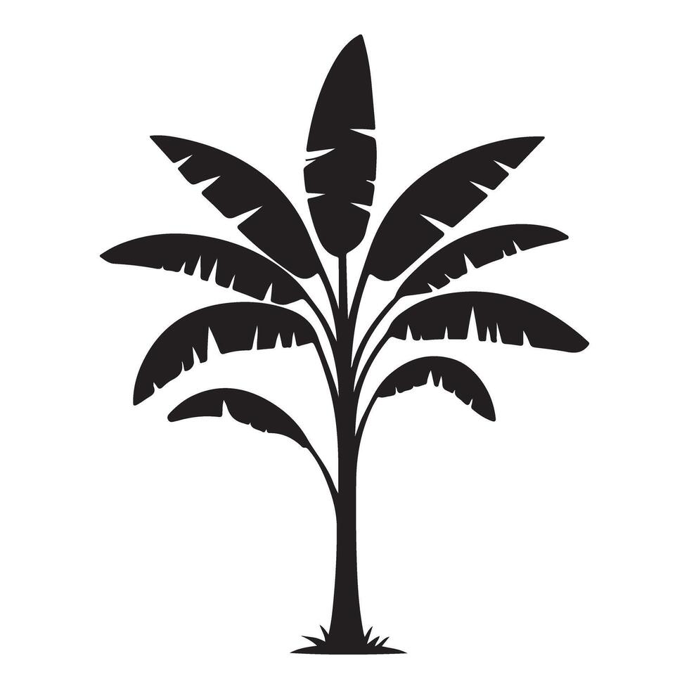 Banana Tree Silhouette Illustration Graphic design vector