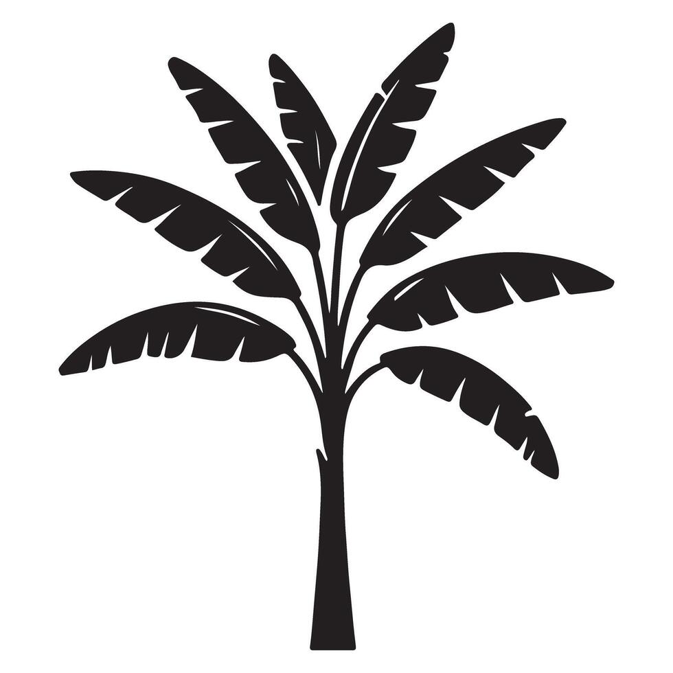 Banana Tree Silhouette Illustration Graphic vector