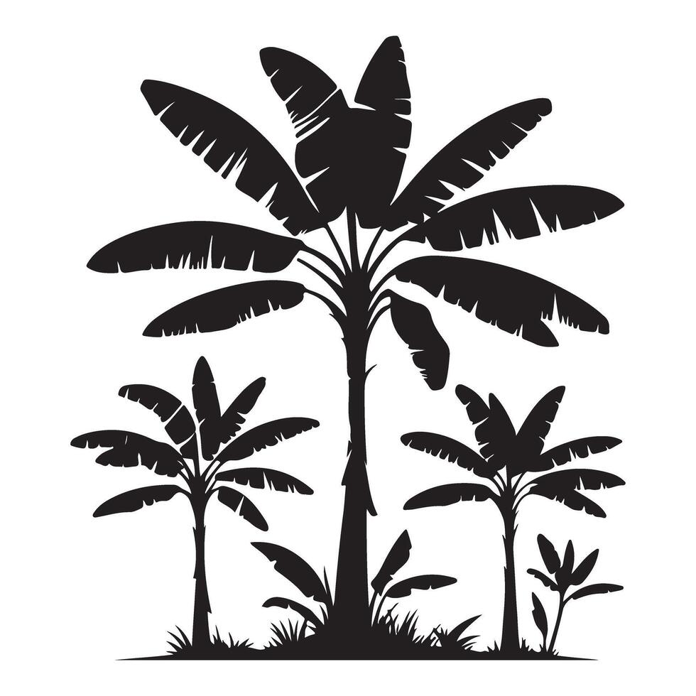 Banana Trees Silhouette Illustration for Tropical Designs vector