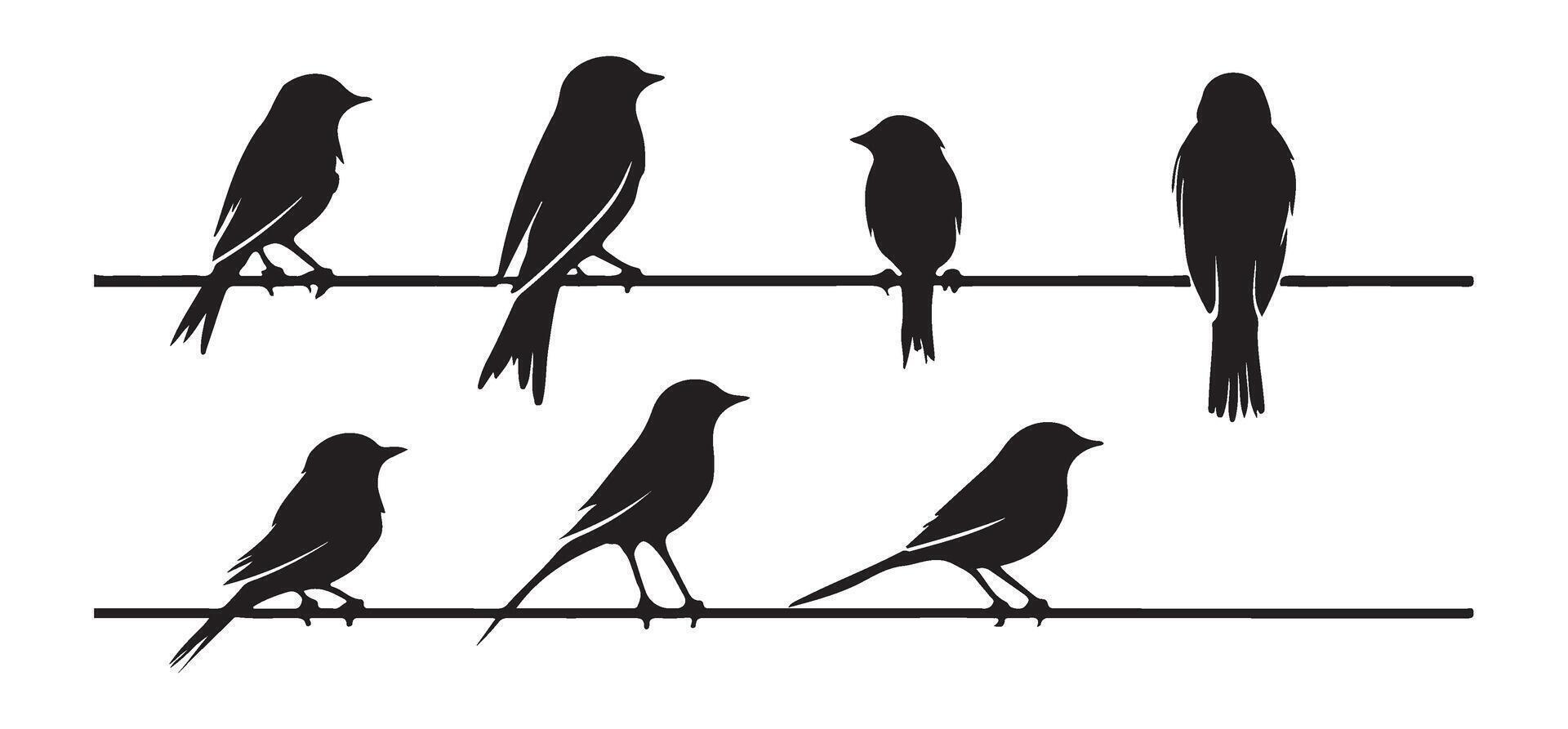 Six Birds Perched on Wire Silhouette Image vector