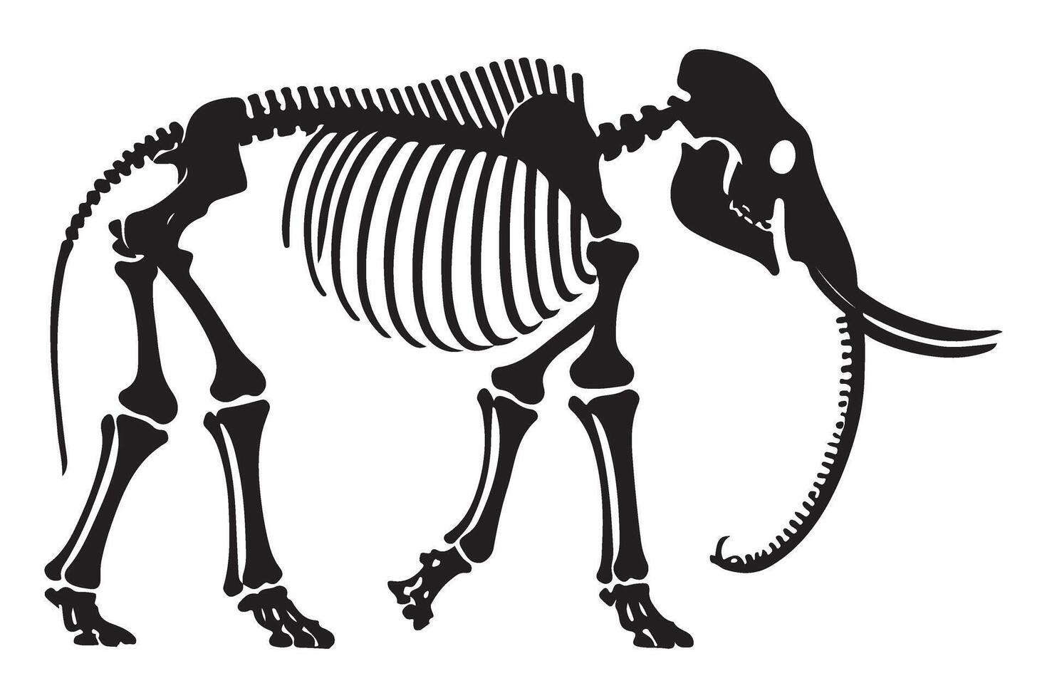 Detailed Mammoth Skeleton Silhouette Illustration vector