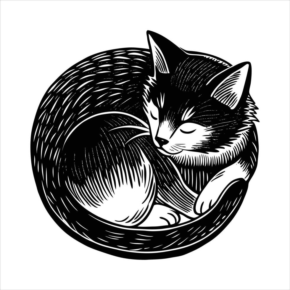 Munchkin Cat Sleeping vector