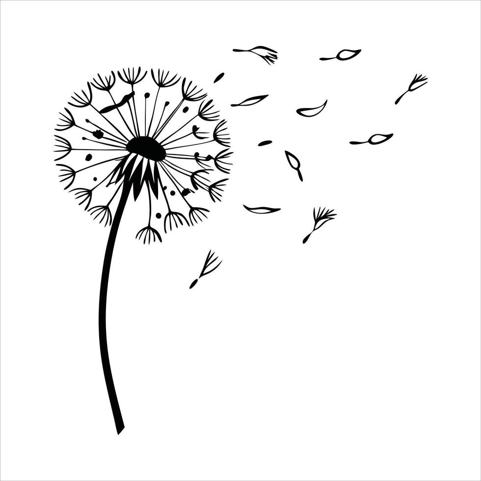 Dandelion In Wind Images vector