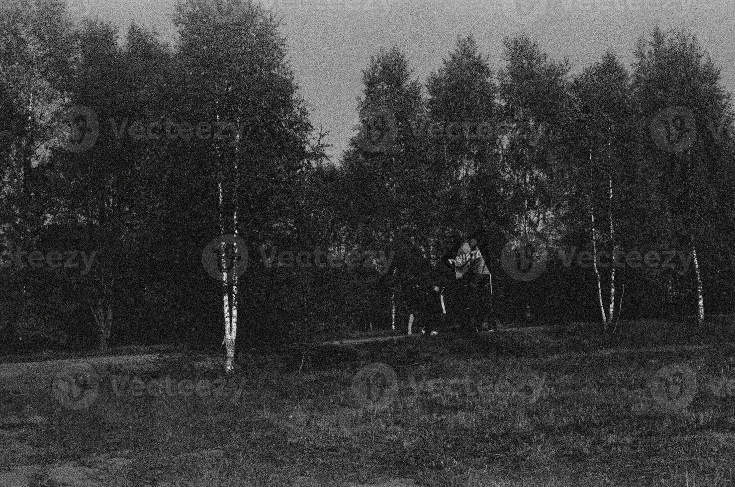 The image shows a peaceful black and white field with trees under a clear sky photo