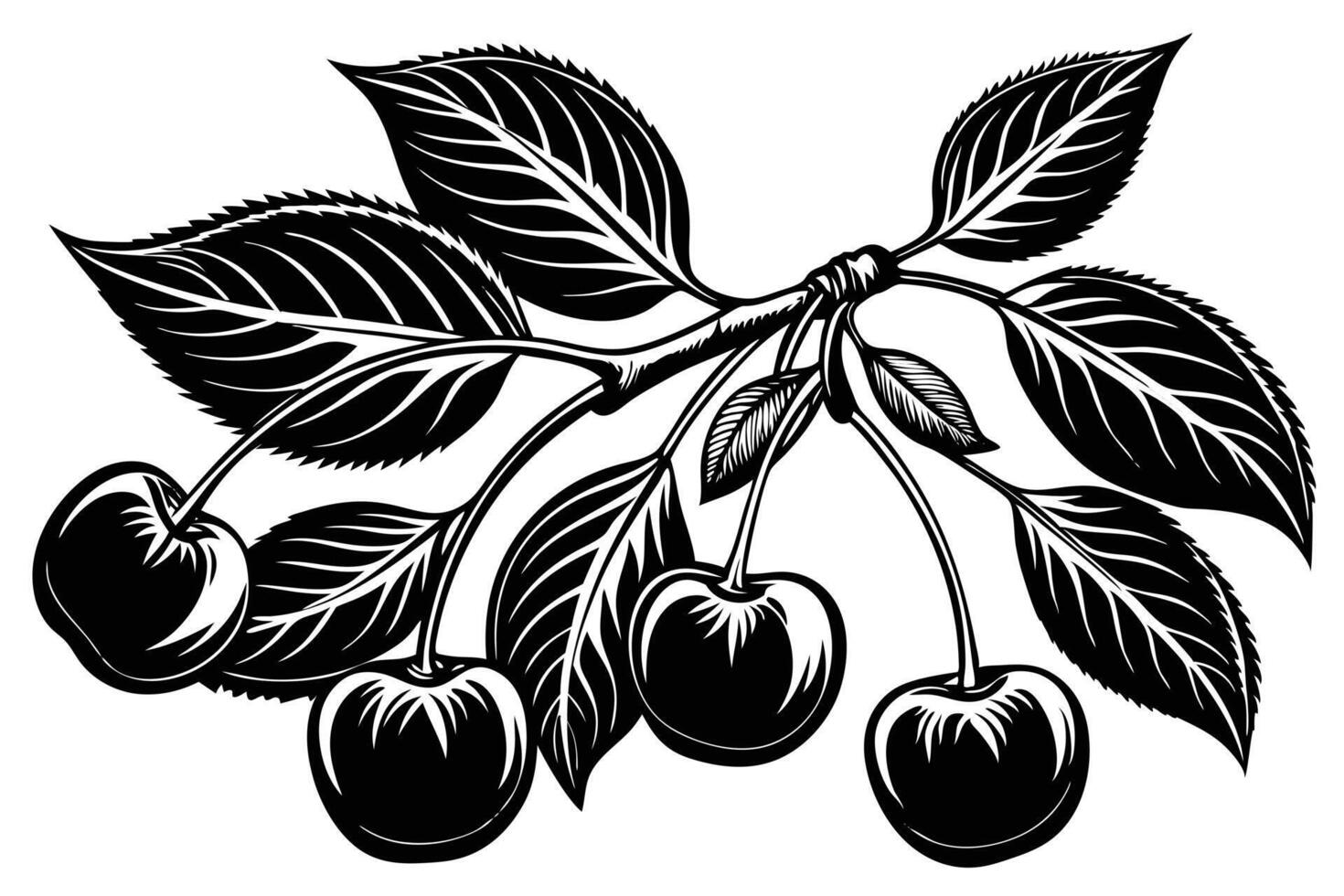 Elegant Black and White Cherry Branch Illustration vector