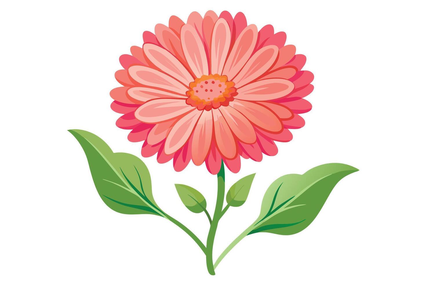 Pink Daisies Bouquet Against a White Background vector