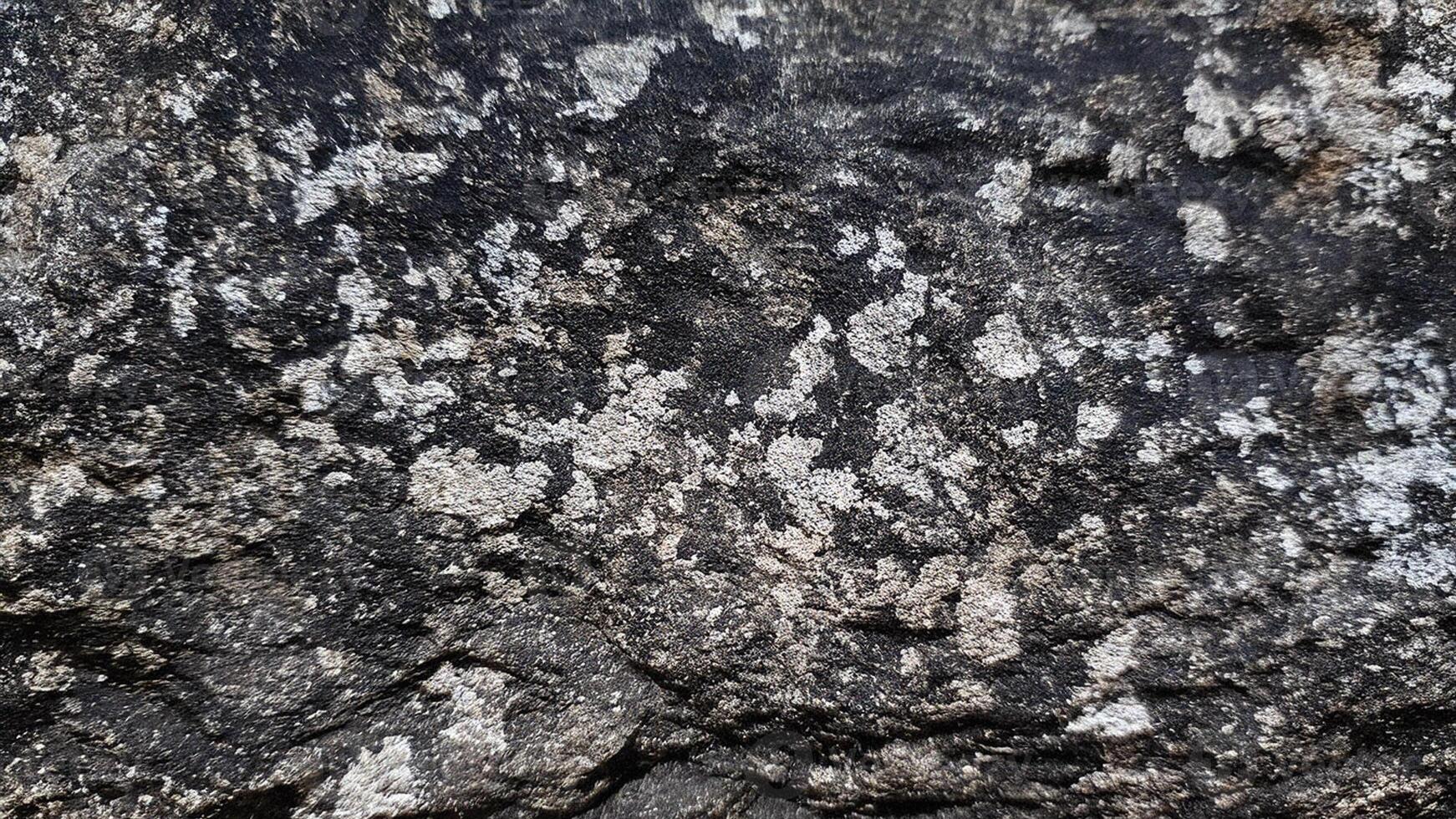Polished granite texture with subtle vein patterns and natural formations, ideal for geology-inspired designs, architectural stone backgrounds, and interior surface aesthetics photo