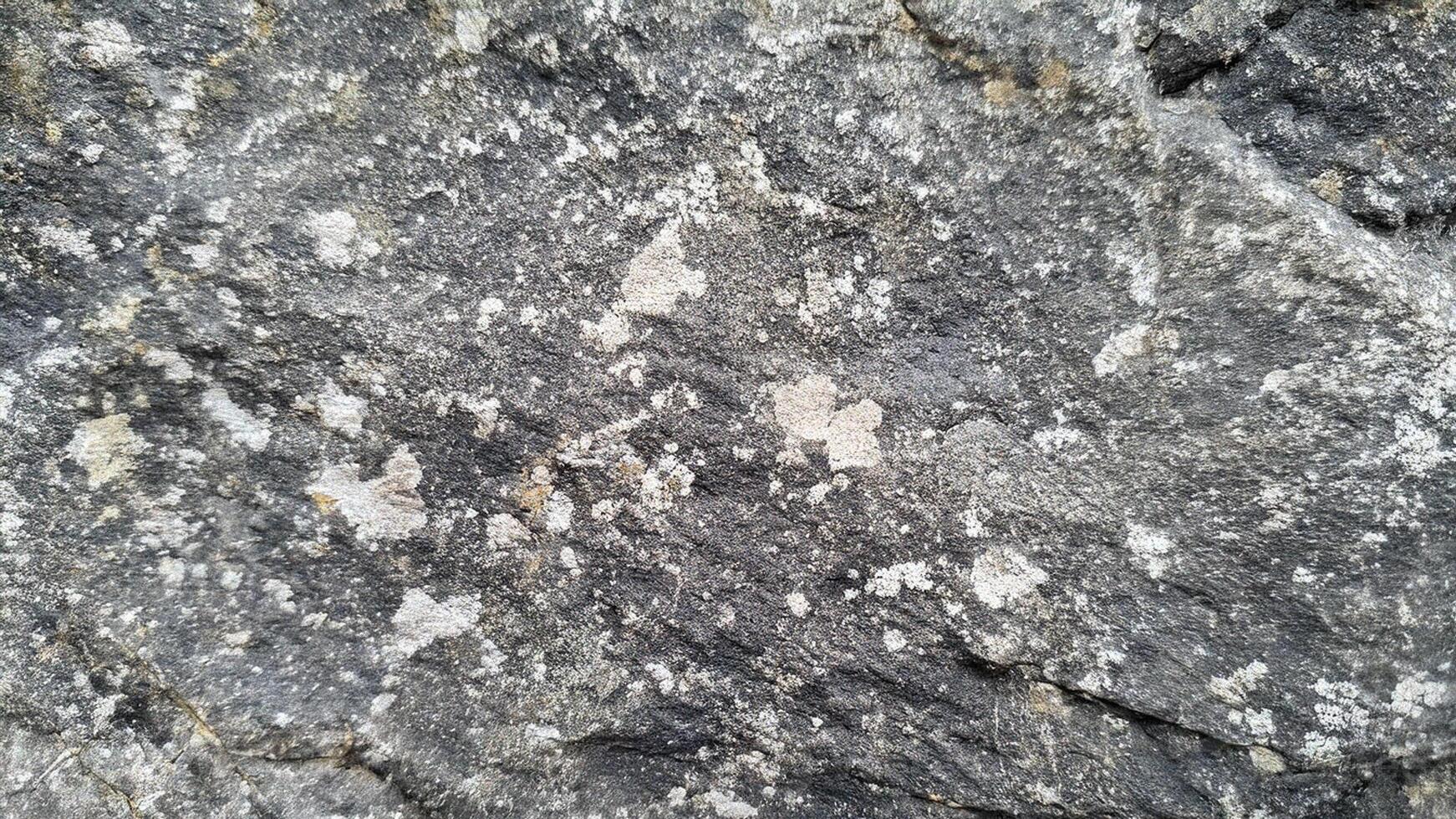 Light marble stone texture with delicate veining and smooth surface details, great for luxury interiors, geological designs, and stone background patterns inspired by natural formations photo