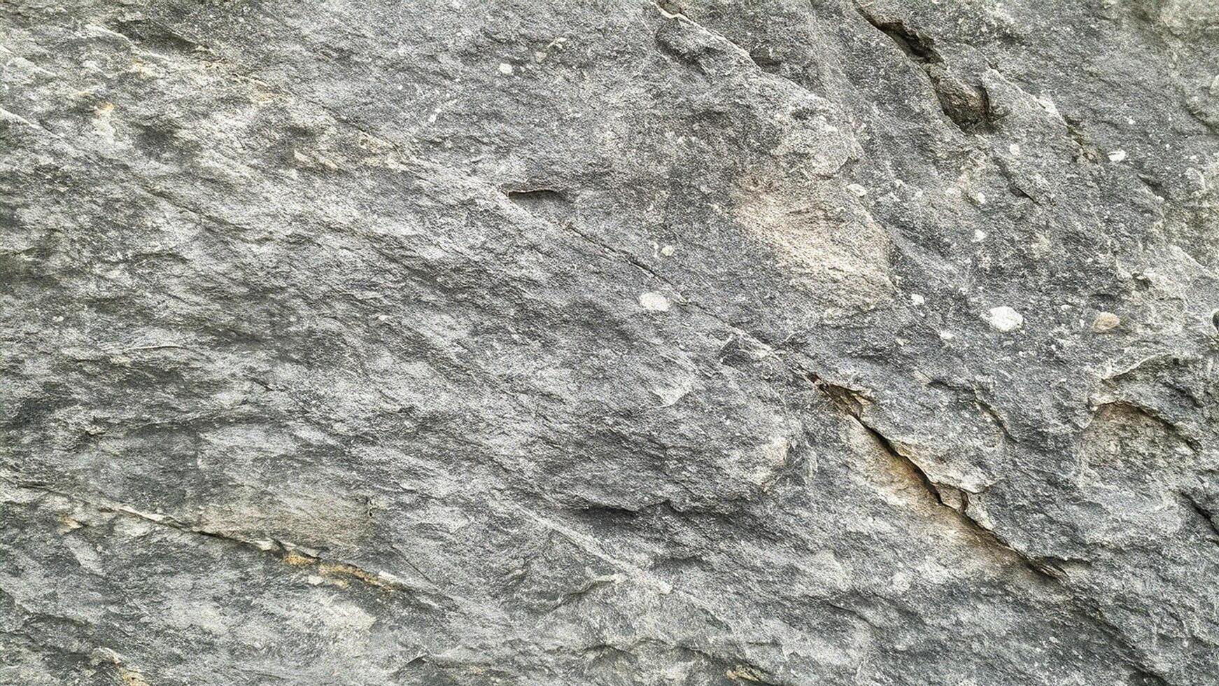Natural rock surface with a blend of light and dark grains, perfect for abstract, architectural, and background textures. photo