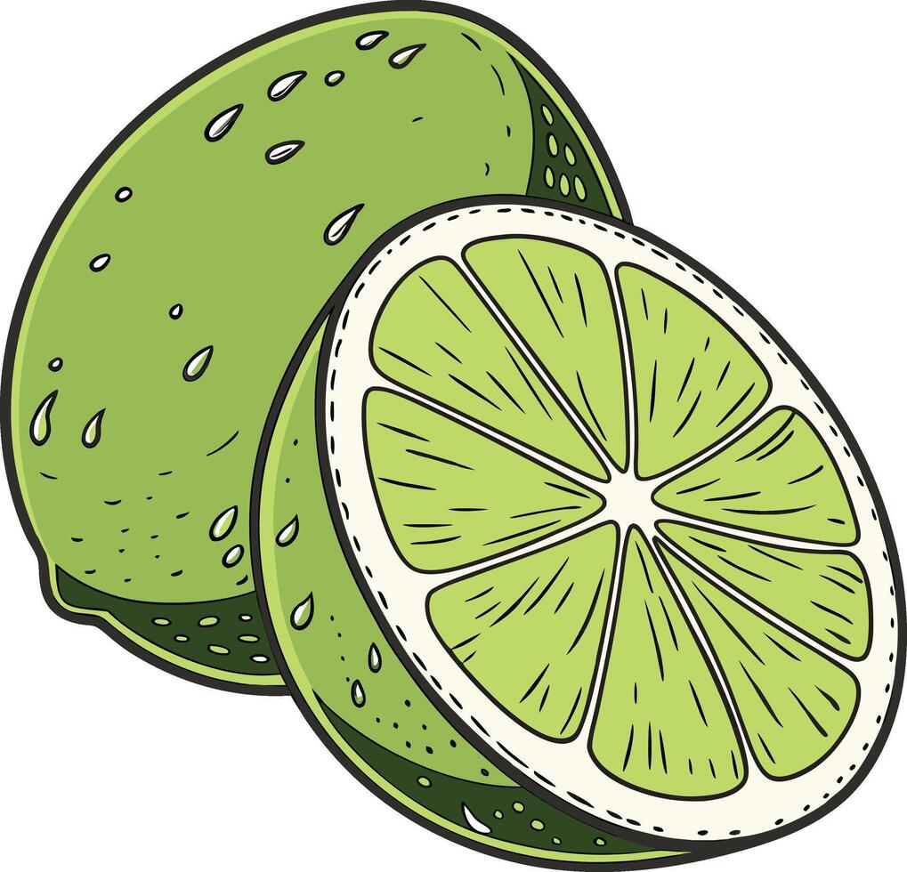 Lime Slice and Whole Lime vector