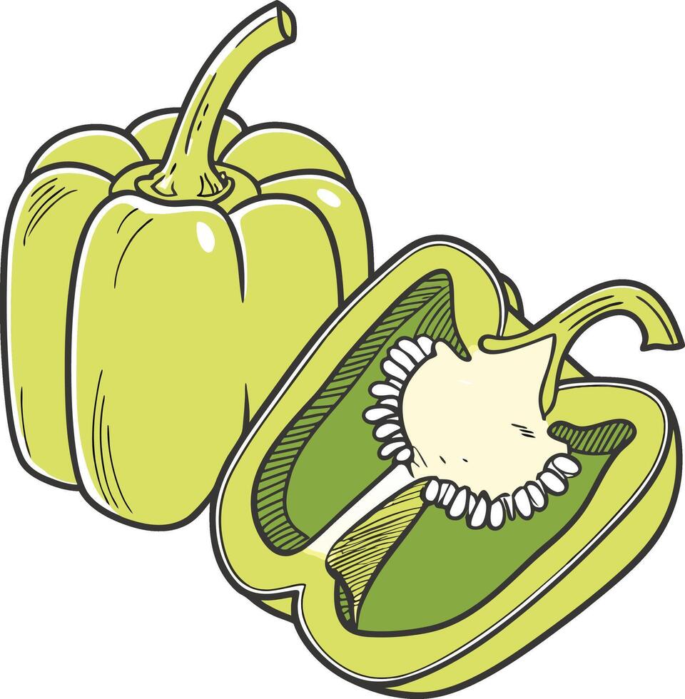 Green Bell Pepper vector