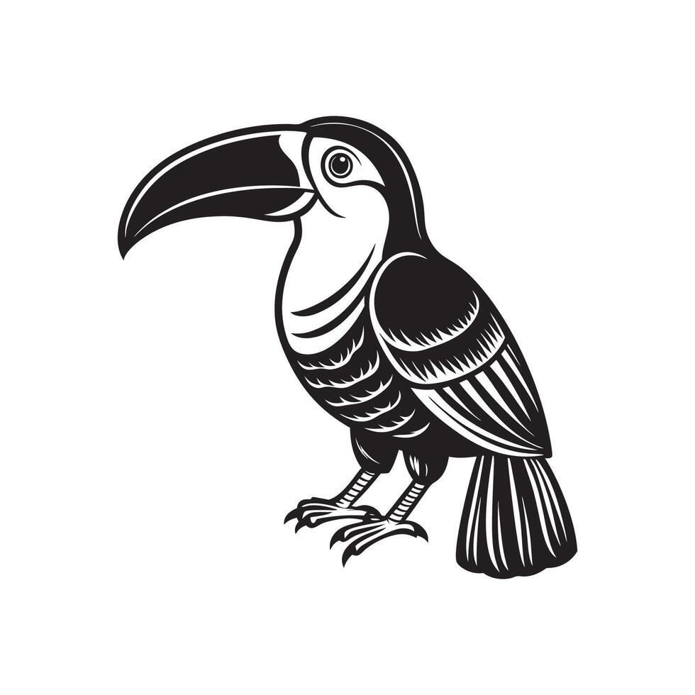 A black and white image of a toucan vector