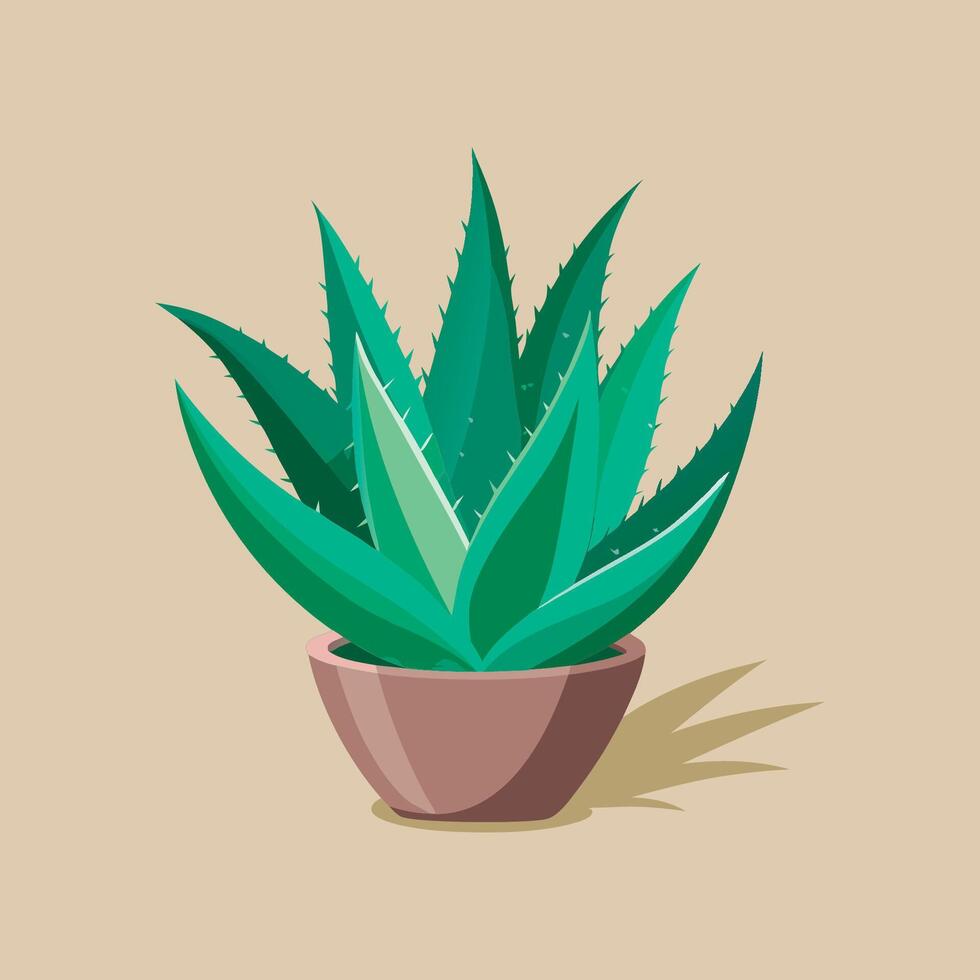 Aloe vera plant in pot on beige background vector