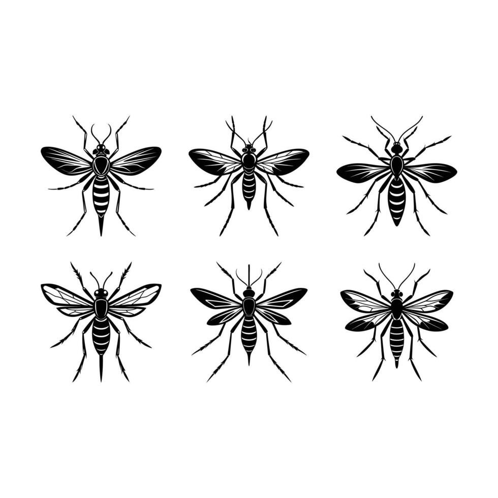 Mosquito Silhouette Graphic Design File for Digital Download vector