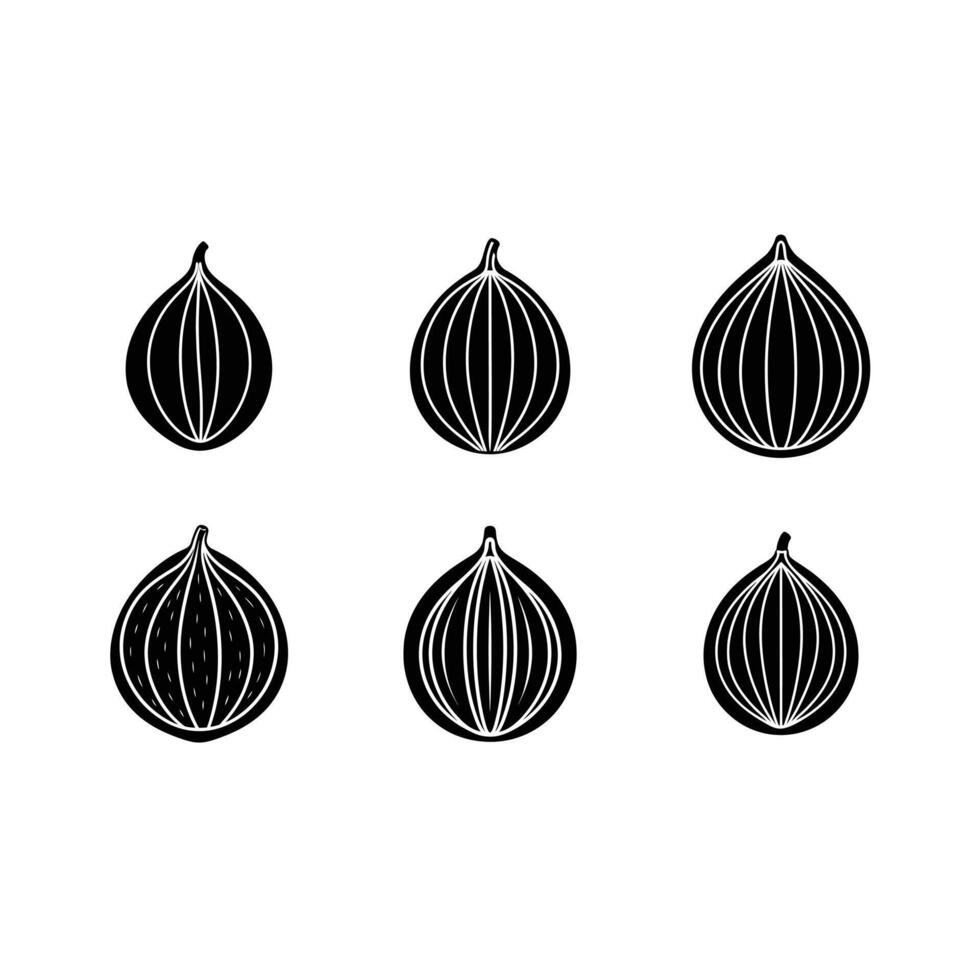 Nutmeg Icon - High-Quality Graphic Design File for Spice and Flavor Illustrations vector