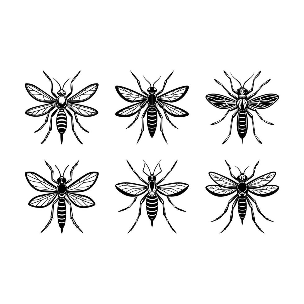 Mosquito Insect Illustration High-Quality Digital Graphic Design File vector