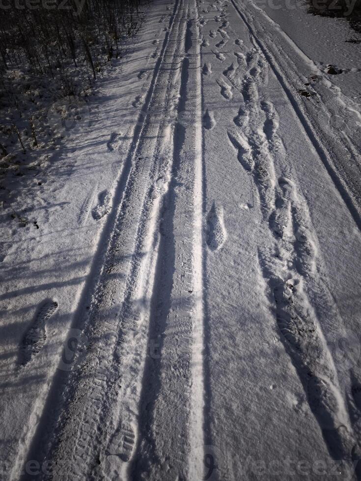 Snow covered road in prague revealing winding footprints and tire tracks, marking winter travel paths through urban landscape in January photo