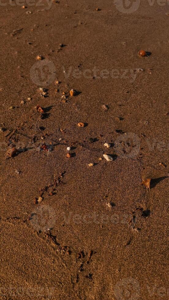 Wet sand with pebbles and seaweed reflecting sunlight on a beach in egypt photo