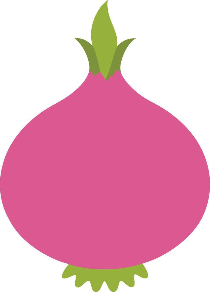 Cute Shallot illustration. vector