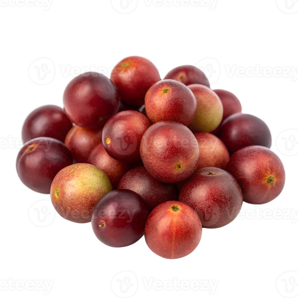 A small pile of camucamu berries, isolated on a transparent background png