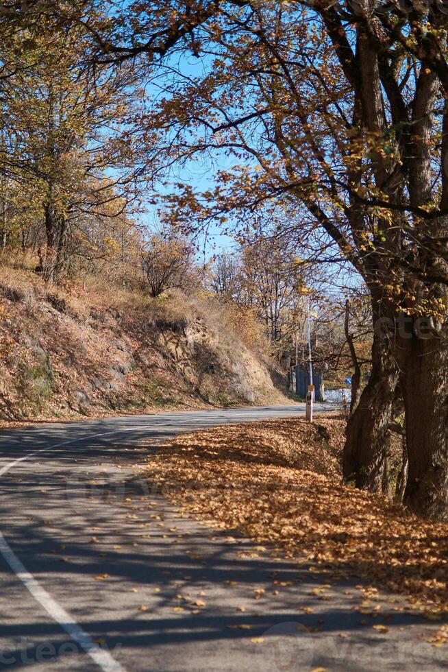 the view of a autumn Armenian mountains covered with forest photo