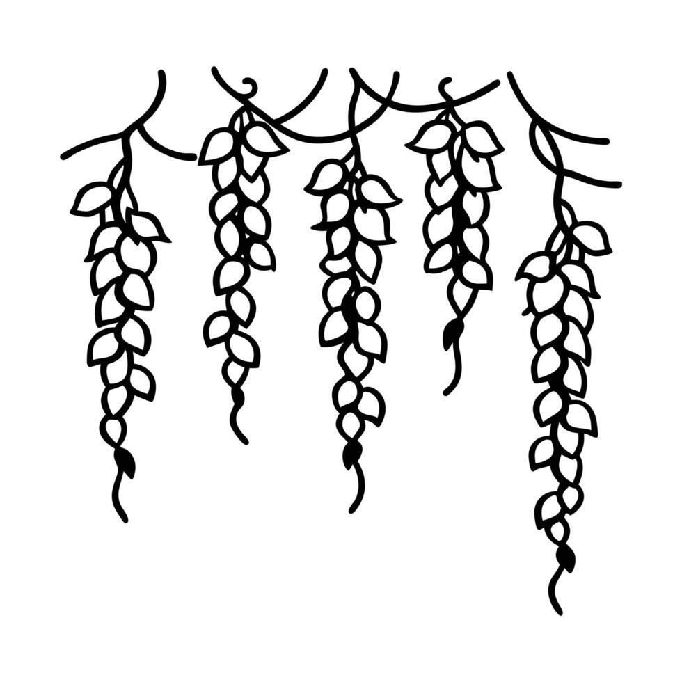 tangle of wisteria vector