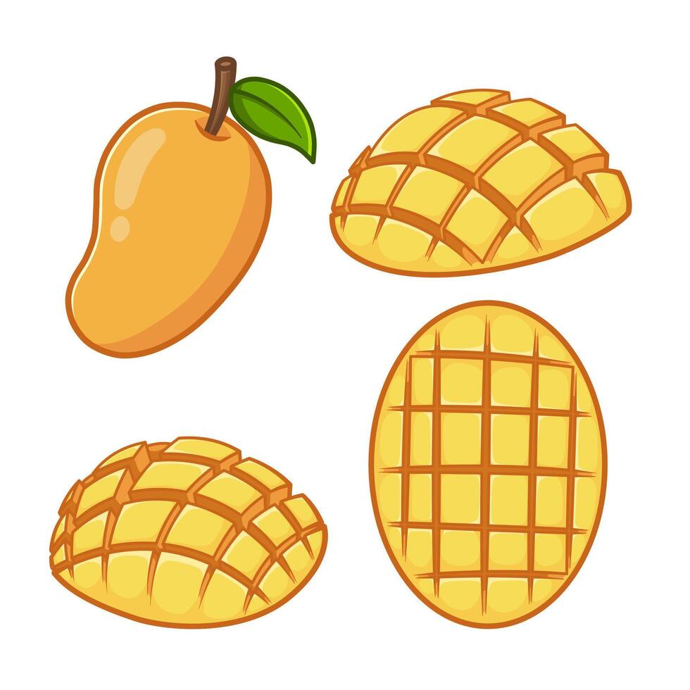 Mango in various shapes and arrangements vector