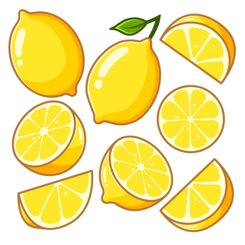 Several lemon in different positions, along with some cut into various pieces. vector