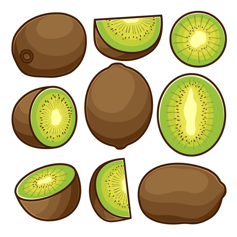 Kiwi fruit arranged in various shapes. vector