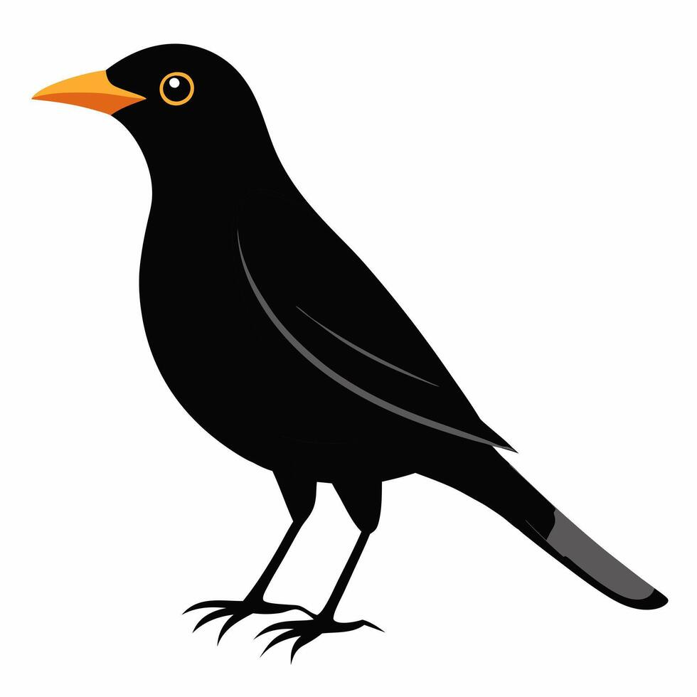 Cute blackbird bird. Suitable for educational posters, logos, children's books and encyclopedias. Children's picture. vector
