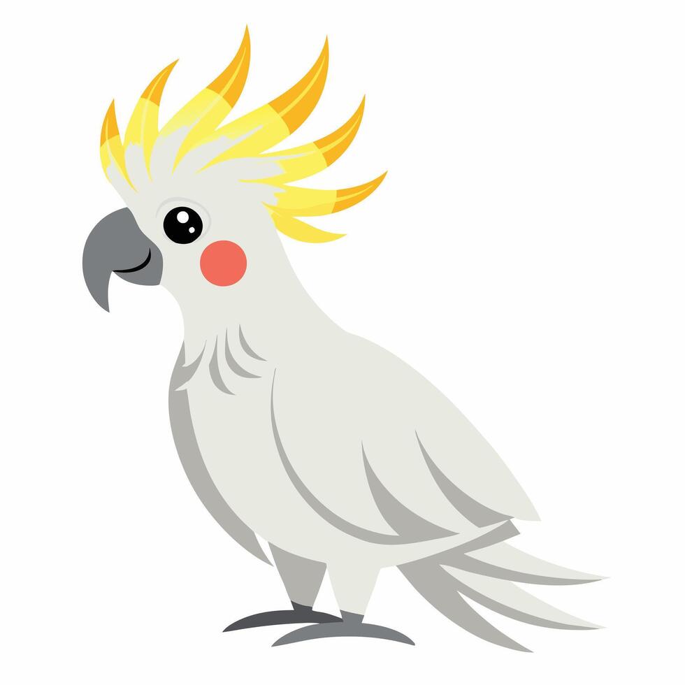 Cartoon parrot cockatoo isolated on white background. Suitable for educational poster, logo, children's books and encyclopedias. Children's picture. vector