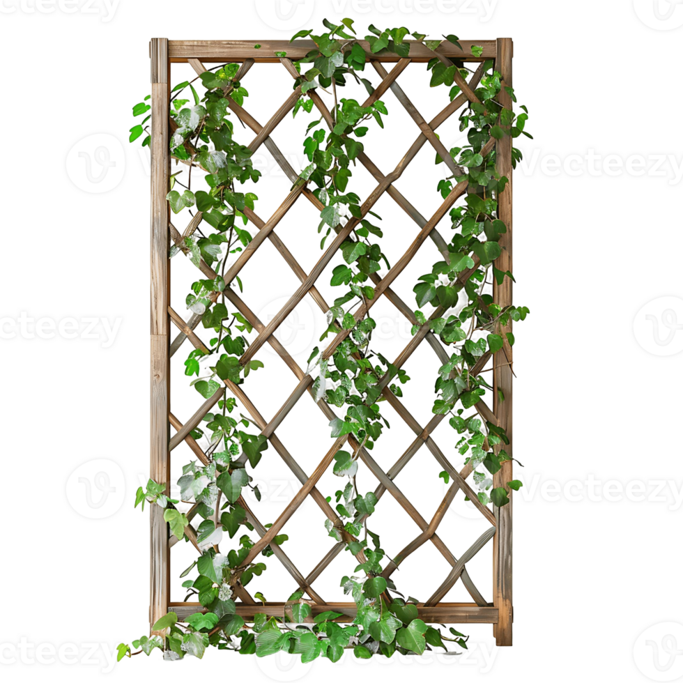Decorative Wooden Trellis with Intertwining Plants png