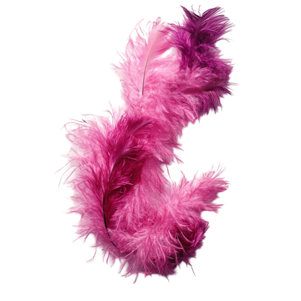 Soft Pink Feather on Transparent Background png