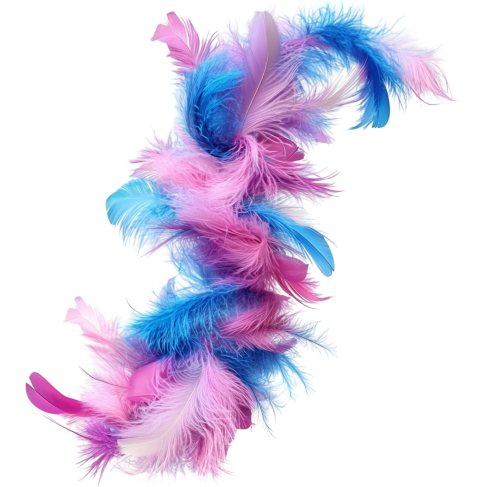 Blue and Pink Feather on Transparent Background png