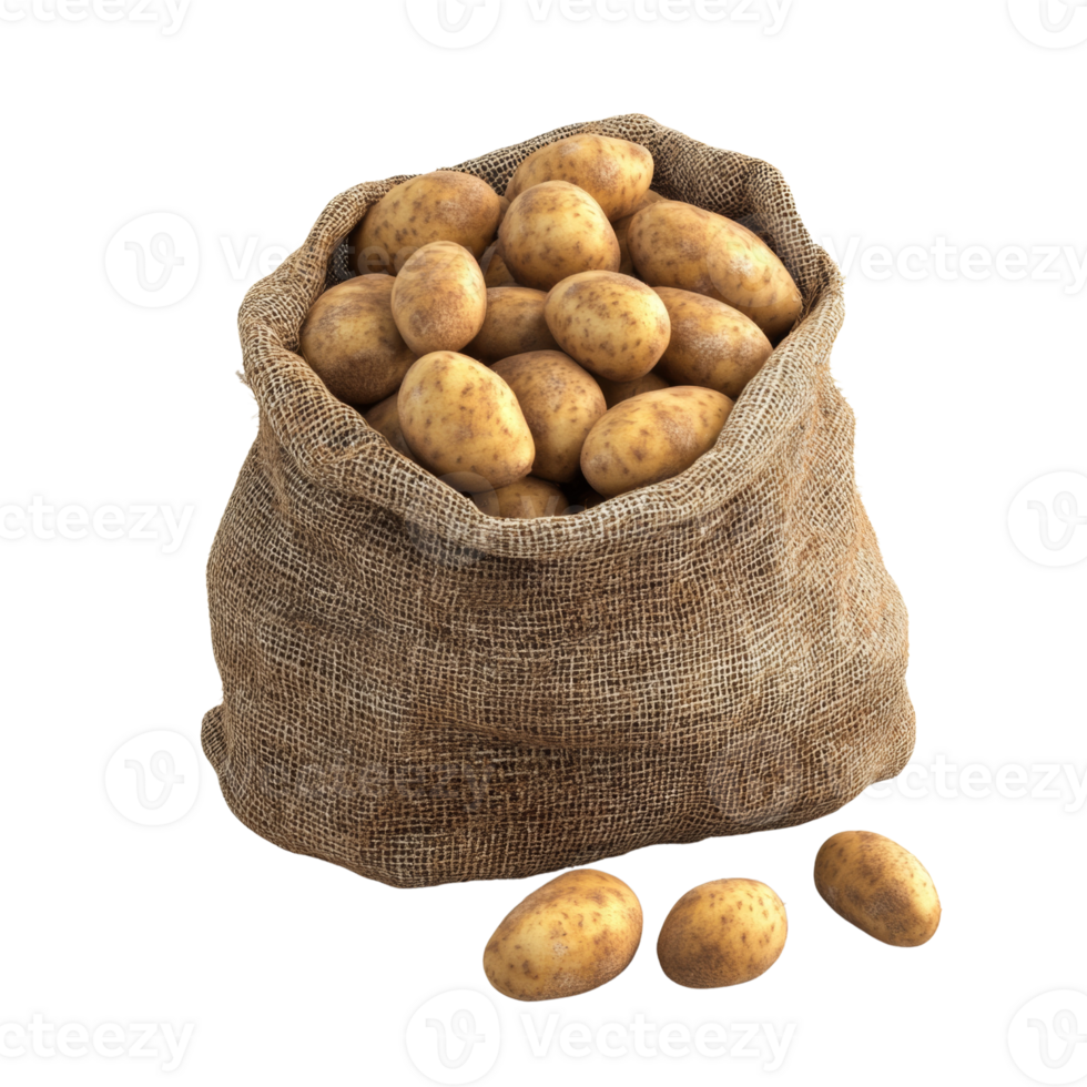 A burlap sack filled with many potatoes. cut out. transparent background png