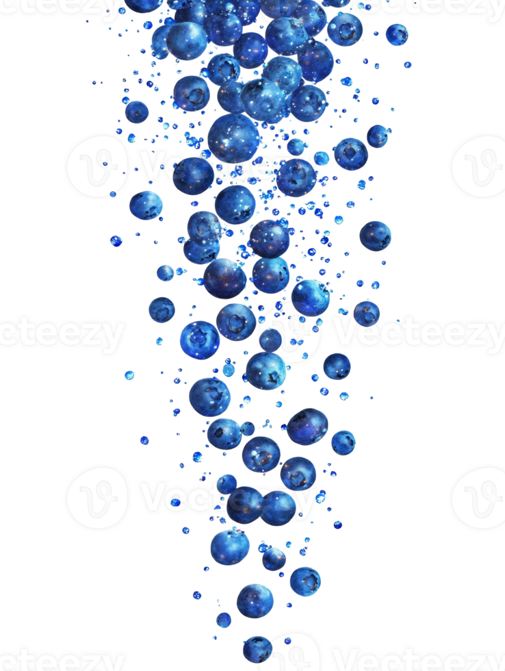 Blueberries falling in a dark background png