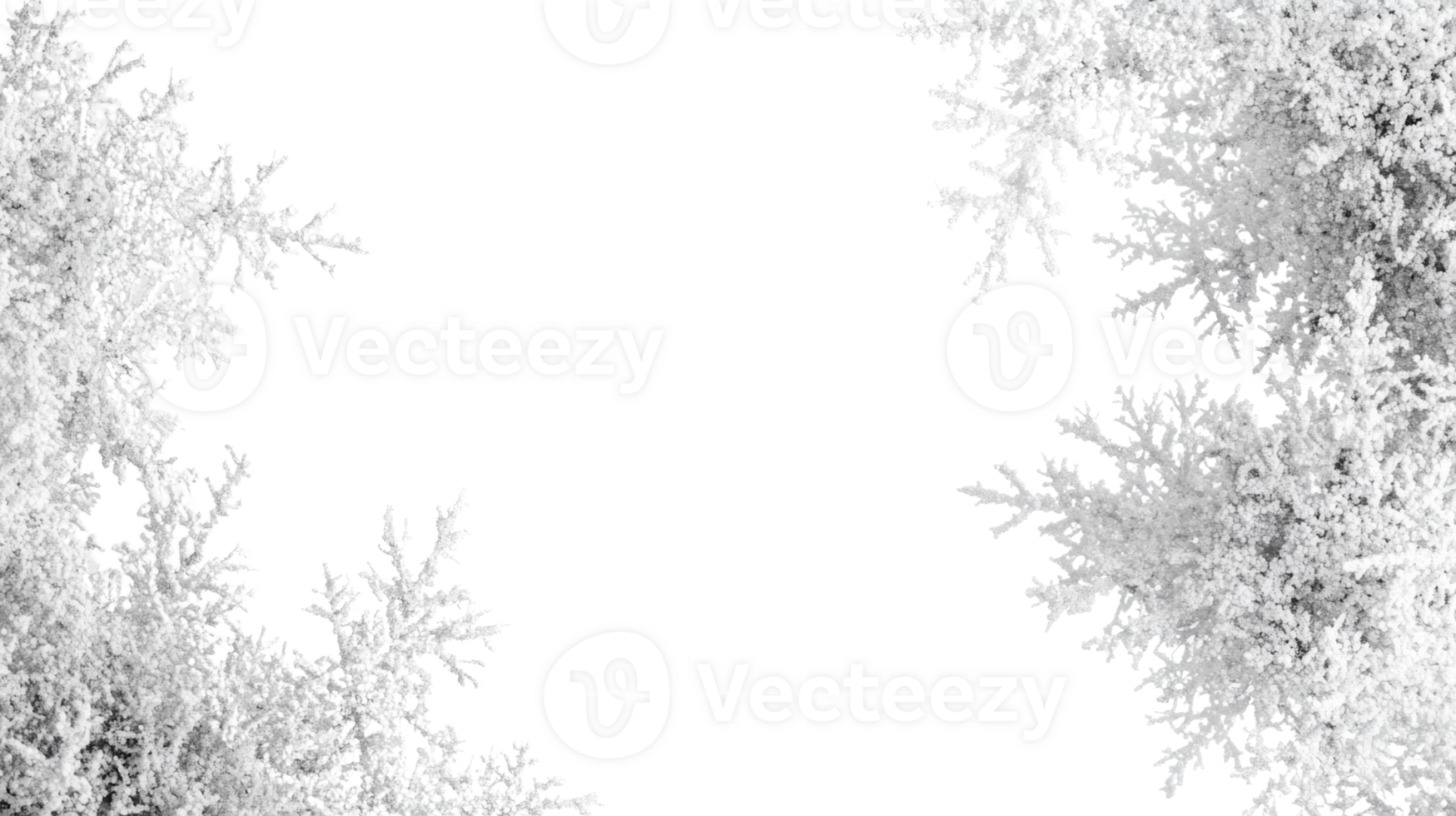 Abstract White Frost Patterns On Black Background png
