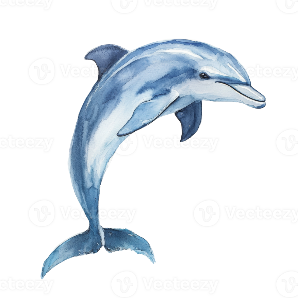 A Watercolor Painting Of A Dolphin Leaping png