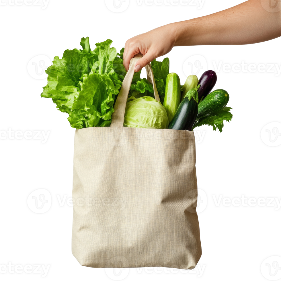 A hand holds a reusable bag filled with fresh green vegetables png