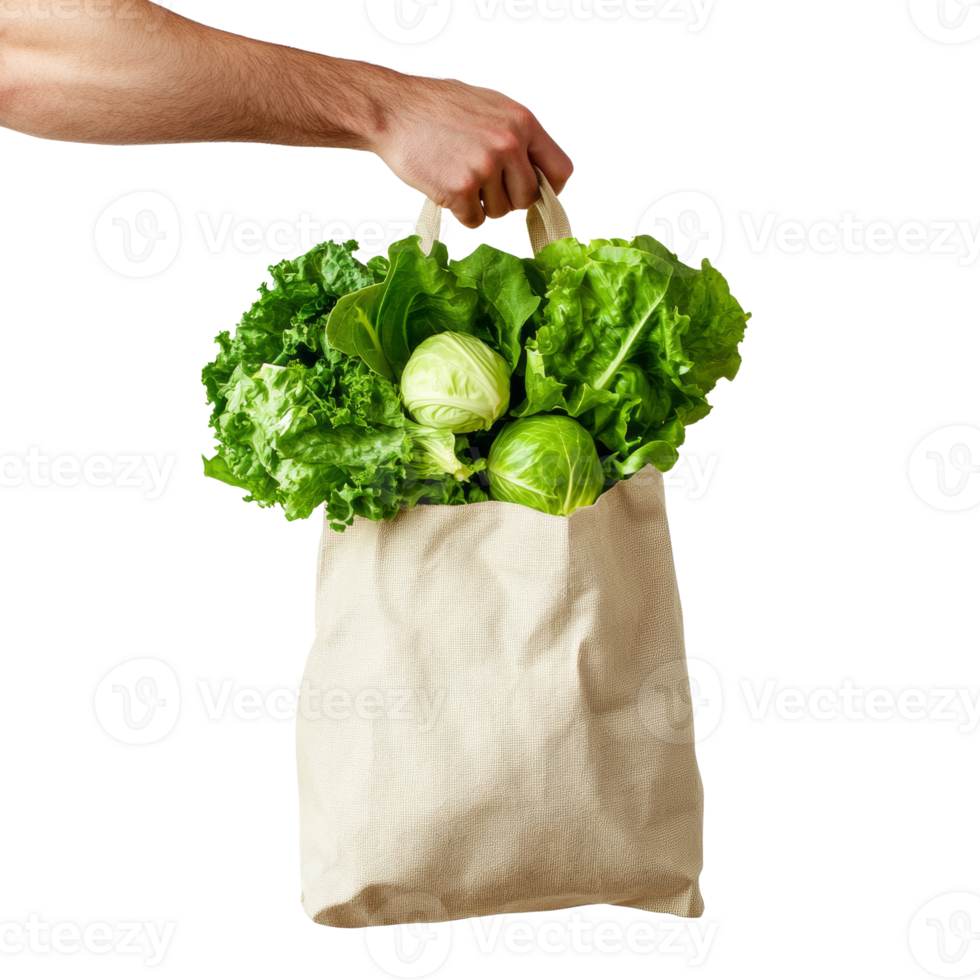 A Hand Holds A Reusable Bag Of Fresh Greens And Cabbages png