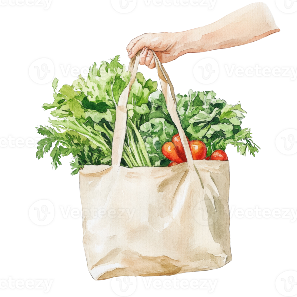 Hand holding a reusable bag filled with fresh produce png